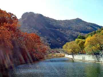 新澳天天免费资料大全，免拆模板